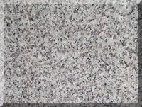 BLANCO TAUPE